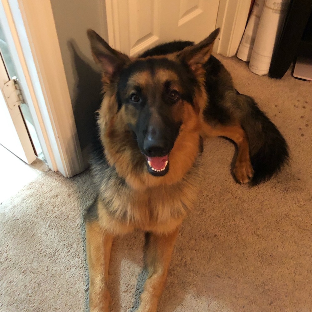 Meet your Posher, John